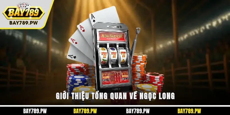 Giới thiệu tổng quan về Ngọc Long